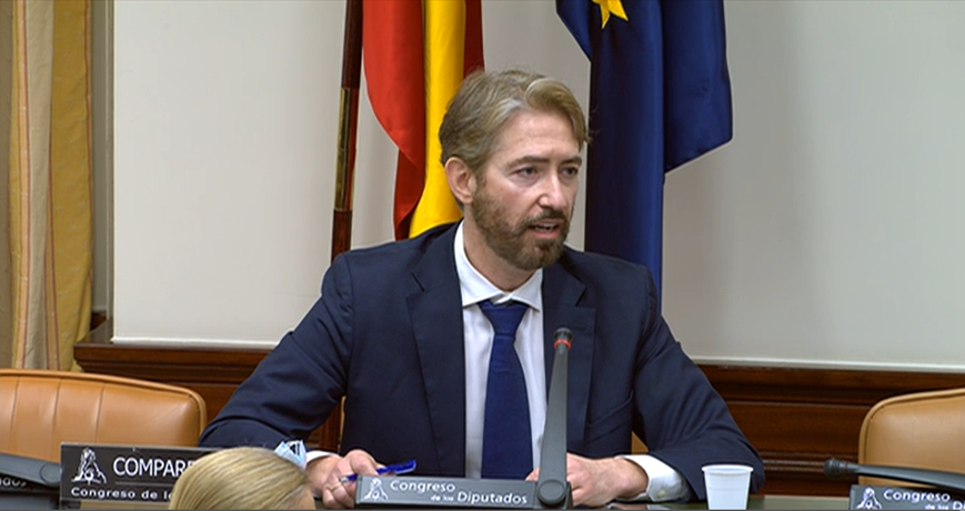 Fundación ANAR, llamada como experta en el Congreso para informar sobre la situación del acoso escolar en España