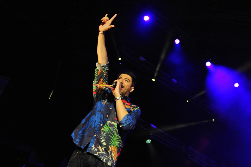 Primavera POP a beneficio de ANAR